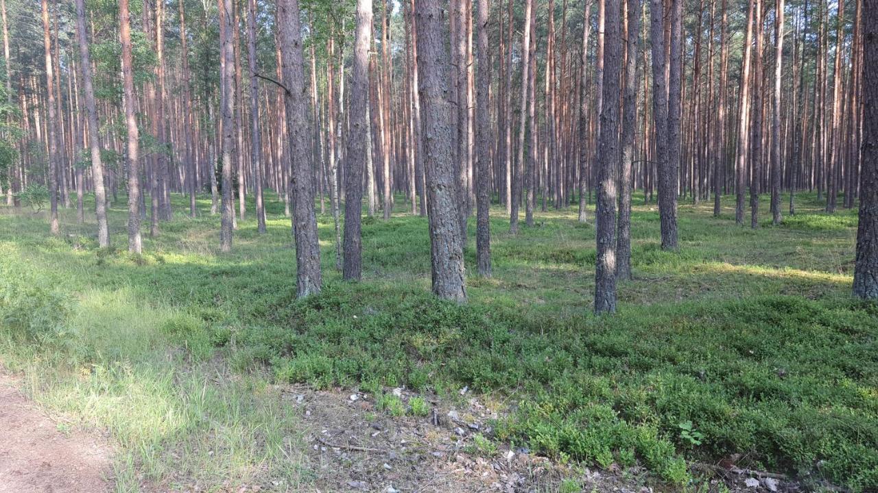 Bukowa Ostoja Apartamento Nakielno Exterior foto