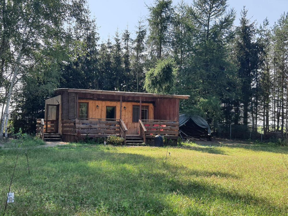 Bukowa Ostoja Apartamento Nakielno Exterior foto